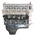 VEGE Remanufactured Long Block Crate Engines DFCJ image 1