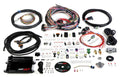 Holley HP EFI ECU and Harness Kits 550-605 image 0