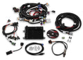 Holley HP EFI ECU and Harness Kits 550-607 image 0
