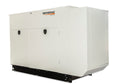 Generac 100kW 3 Phase Natural Gas Generator Protector Series 277/480-Volts | RG10090KNAC image 0