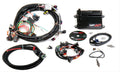 Holley HP EFI ECU and Harness Kits 550-602N image 0
